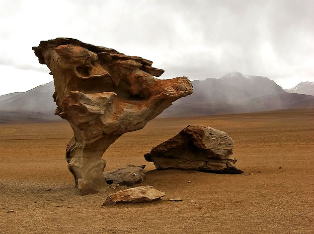 Rock Tree